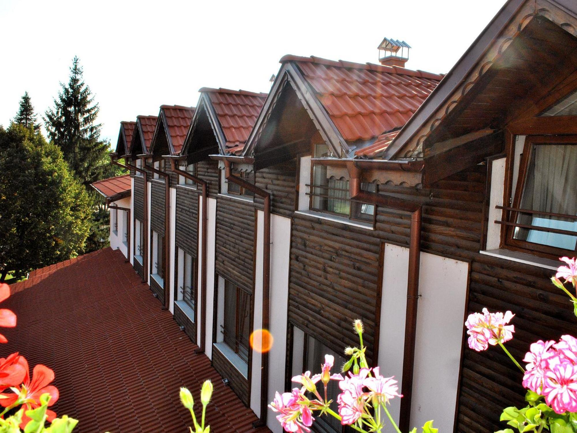 Spa Hotel Ivelia Dubnitsa 部屋 写真